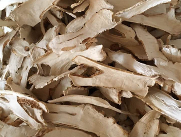 Horseradish